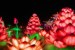 春节花灯·和和美美彩灯